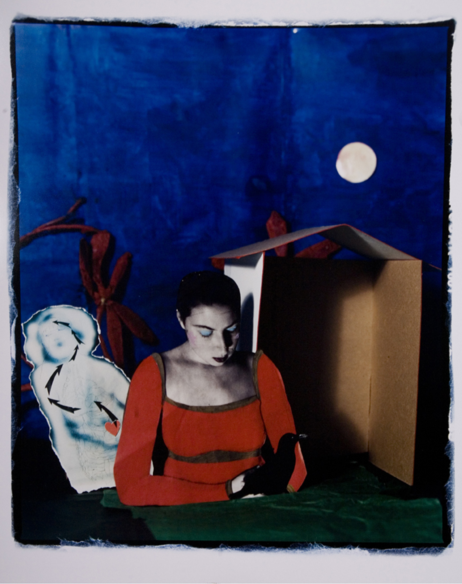 Gallery 3 - Laura DAlessandro